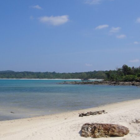 Day 15: Island life
