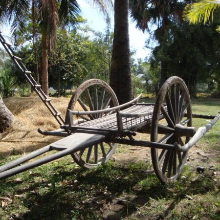 Day 11: From Phnom Penh to Kampot