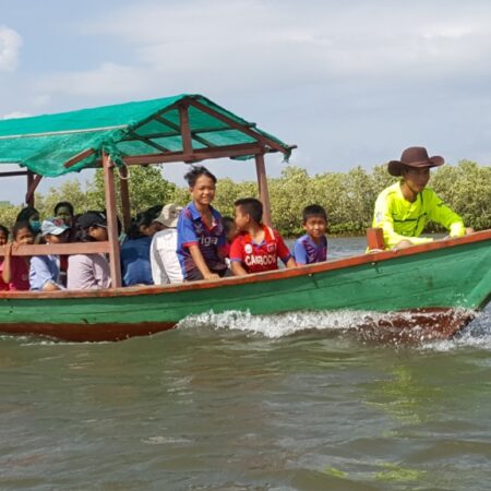 Day 12: Become a Mangrove Guardian: Supporting Coastal Restoration