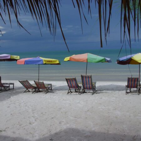 Day 14: On the way to a tropical island