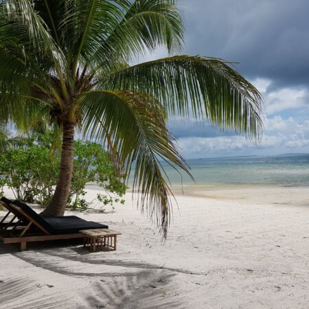 Day 15: Island life