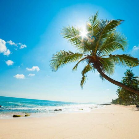 Day 14: On the way to a tropical island