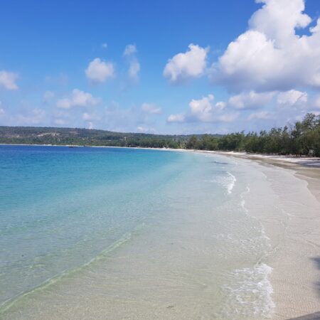 Day 16: Island life
