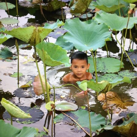 10 Days Authentic Cambodia – History, Culture, Adventure 4