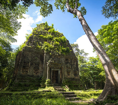 Kampong Thom, Worldheritage site and behind the scenes with a marine biologist