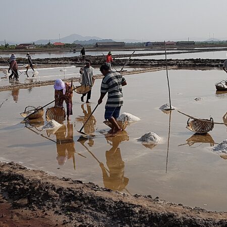 Day 12: Become a Mangrove Guardian: Supporting Coastal Restoration