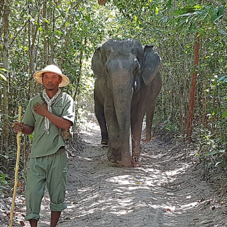 Active family fun in Cambodia 2
