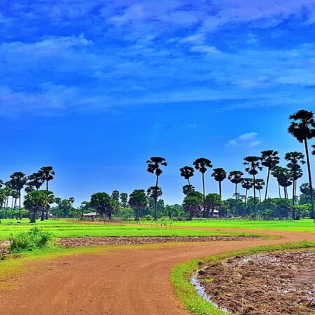14 Days Cambodia included a 4 days self drive jeep adventure 3