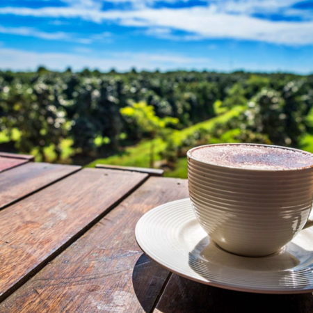 Bolaven, Coffee Farm homestay – Champasak