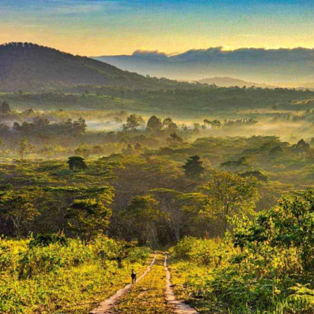 Mystic mountain homestay, Bolaven