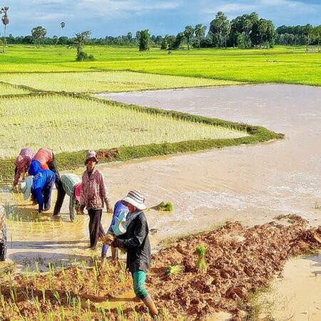 Unveiling Siem Reap’s Treasures 5