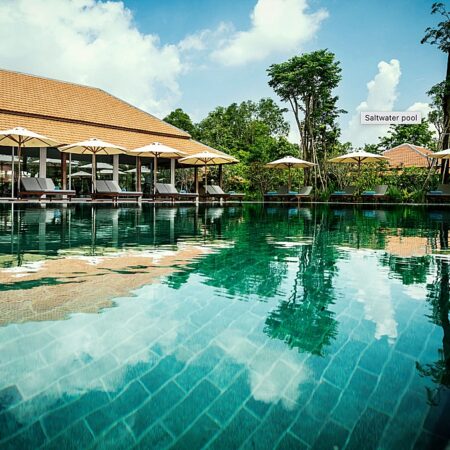 Day 9: Immerse Yourself at Smiling Gecko's Farm: