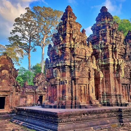 Day 8: Bantey Srei temple  and Angkor Center for Conservation and Biodiersity