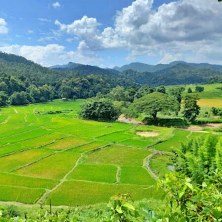 Mae Sariang, Trekking and boating along the Salween National Park