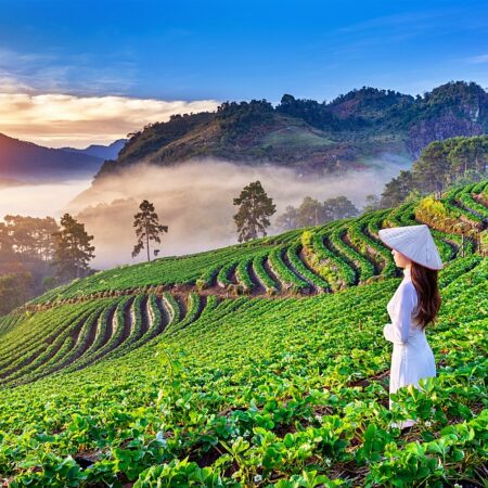 Tham Lot, Windy Roads, Tea and Coffee Plantations