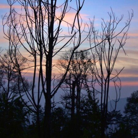 Nan, Doi Phu Nang National Park 2