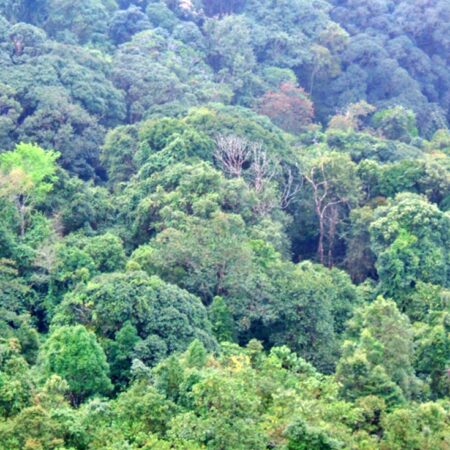 Nan, Doi Phu Nang National Park