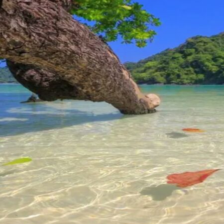 Koh Phra Thong, Koh Phra Island